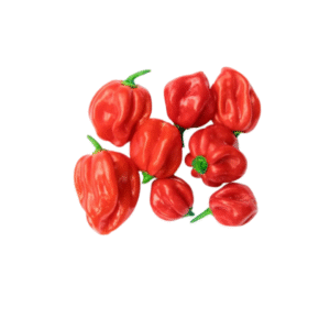 Scotch bonnet